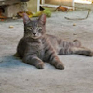 Meet your Posher, Gabriela